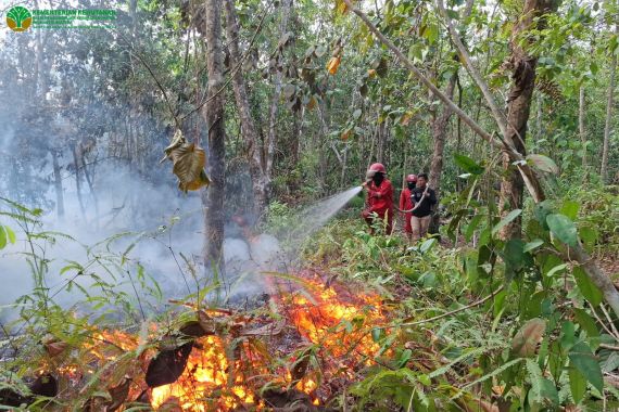 Audit Lingkungan dan Karhutla: Apa Saja yang Perlu Ditinjau Perusahaan?